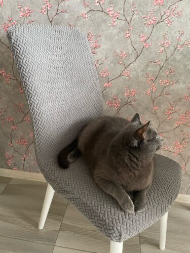 Premium Kwaliteit stoelhoezen photo review